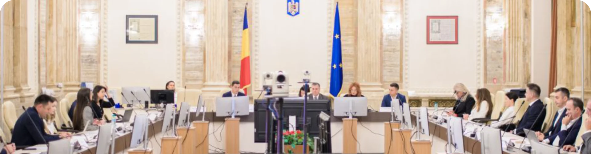 Companiile românești nu pot concura cu platformele extracomunitare