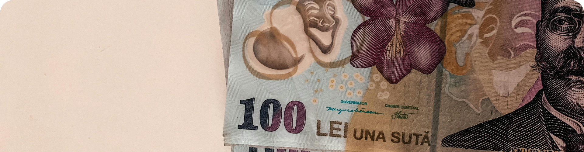 Romania, in continuare tara cu cea mai mare inflatie din UE
